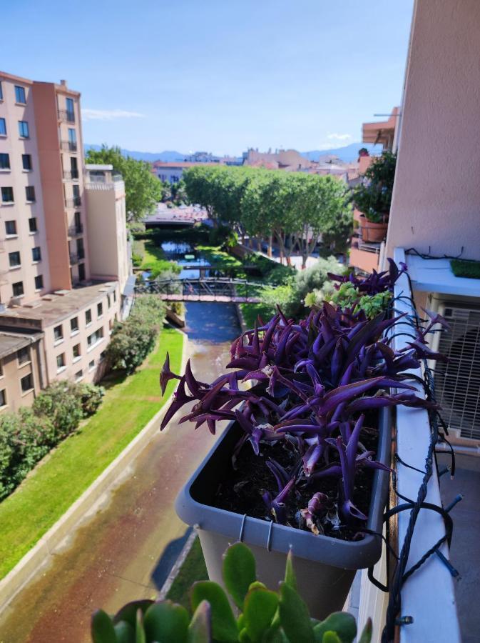 Le Balcon De La Basse Centre Ville De Perpignan Exterior photo